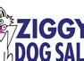 Ziggy&quot;s Dog Grooming Salon Warrington